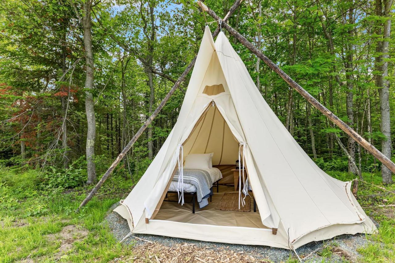 Under Canvas Acadia
